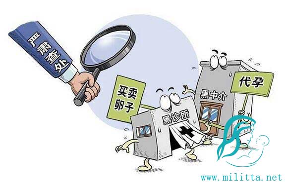 国内非法代孕乱象