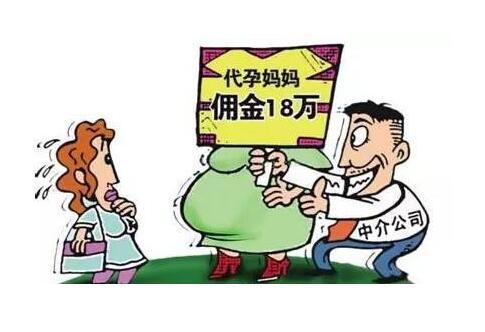 国内代孕妈妈
