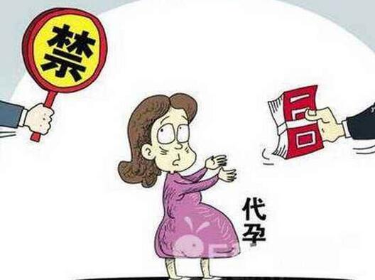 国内中介招代孕妈妈