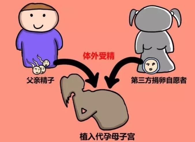 国内代孕涉及相关法律