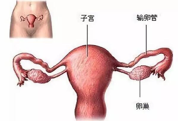 子宫内膜异位症做乌克兰代孕