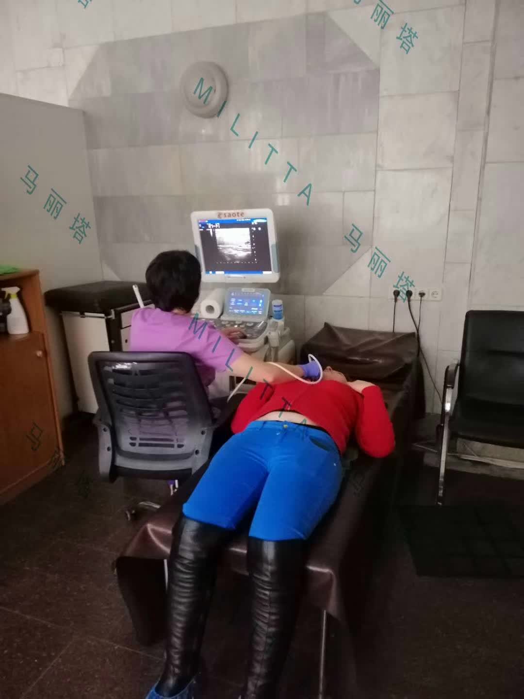 小马带2个代母到乌克兰IRM医院体检
