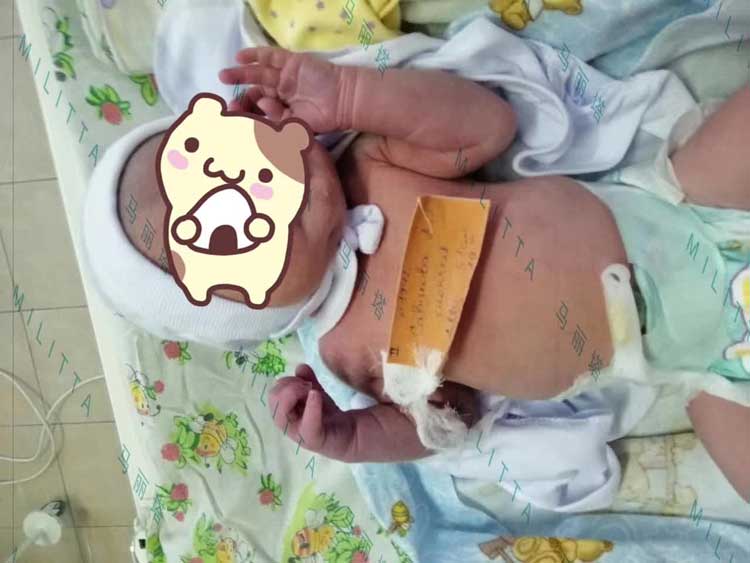 马丽塔双胞胎宝宝