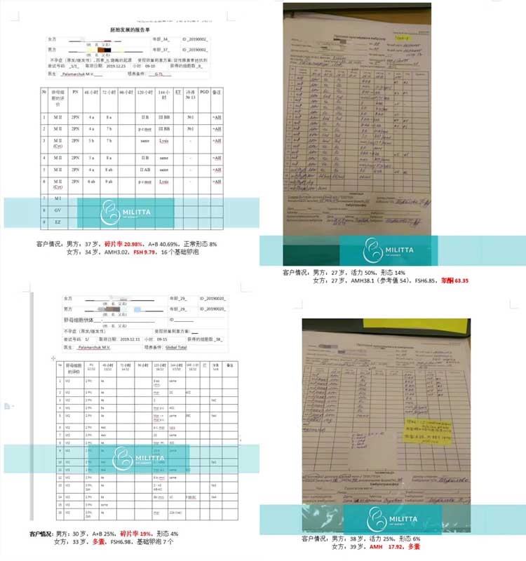 乌克兰丽塔医院自卵试管客户胚胎数据报告