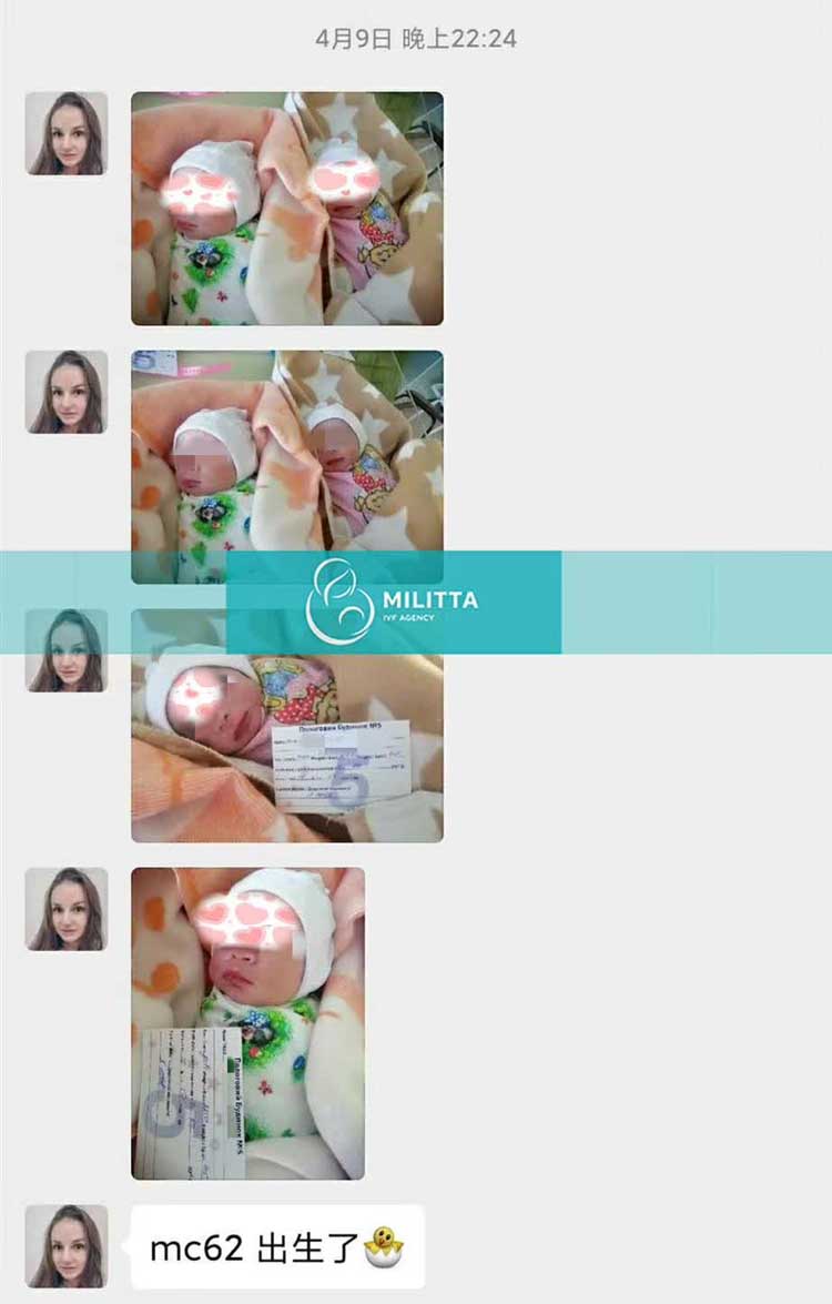 20天时间内|马丽塔有12个宝宝出生,感觉像育婴公司了