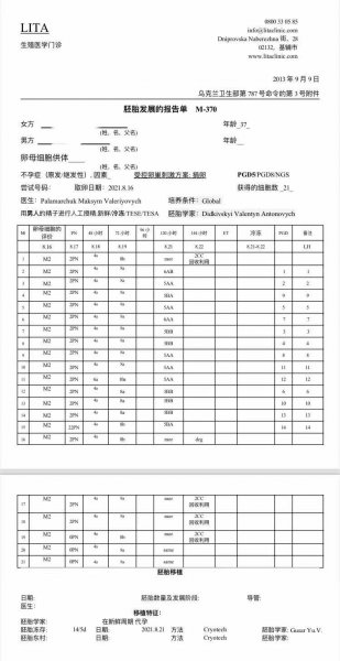 H先生的捐卵胚胎培养报告,受精养囊成14枚高等级胚胎