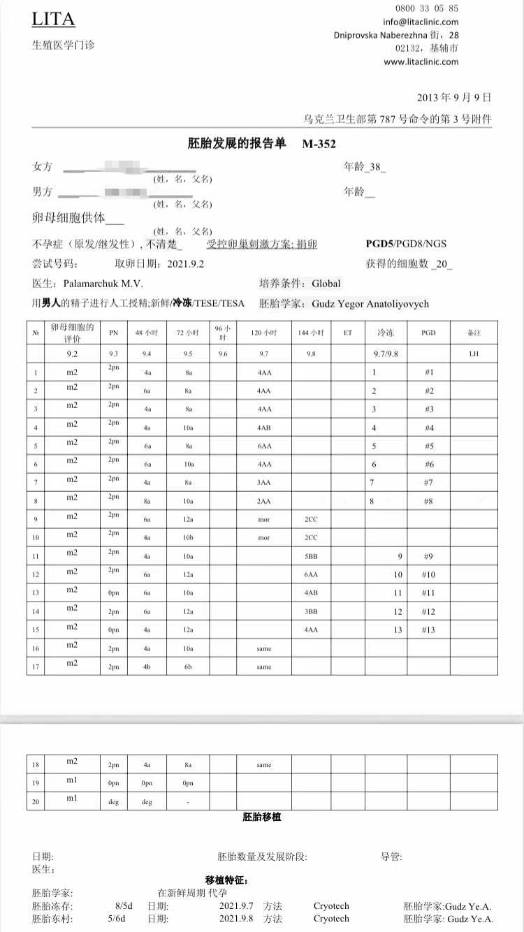 乌克兰捐卵胚胎培养报告