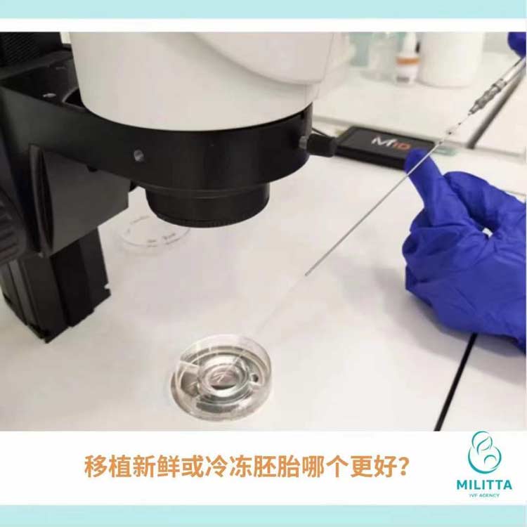 移植鲜胚好还是移植冻胚
