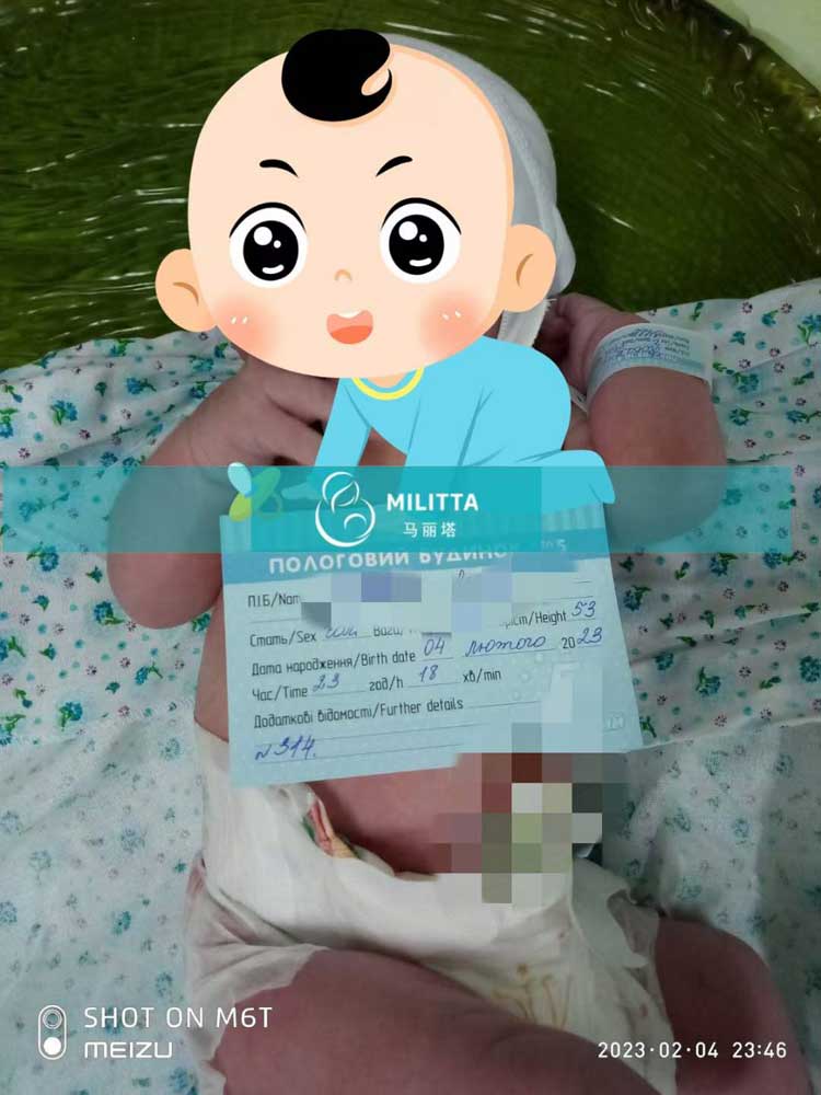 乌克兰试管宝宝出生