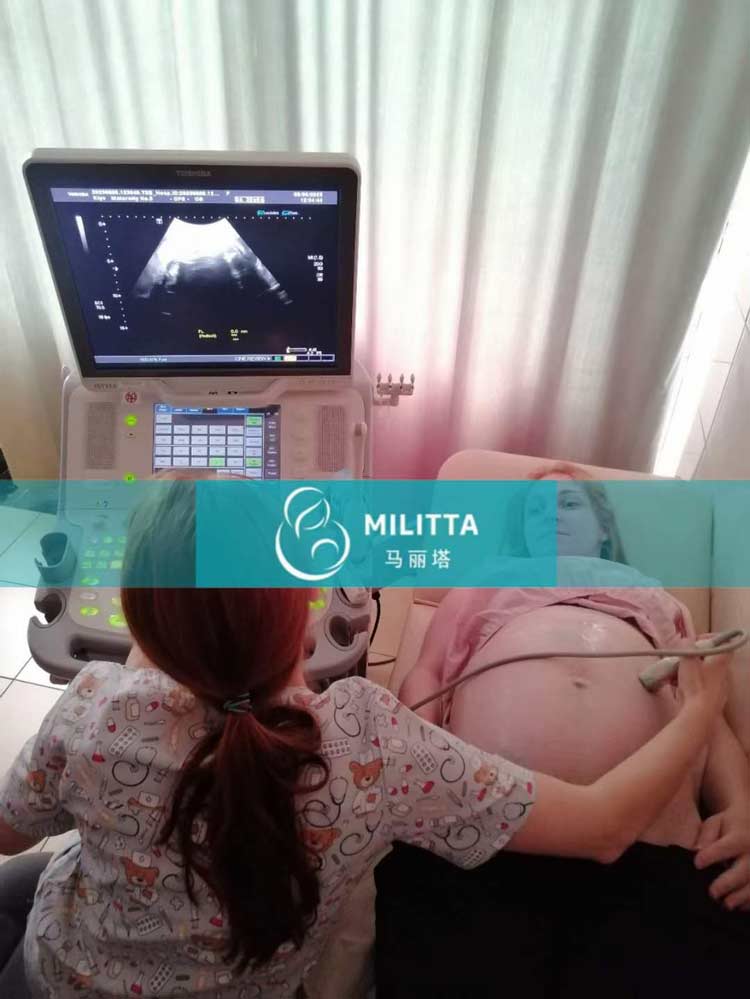 乌克兰试管妈妈B超