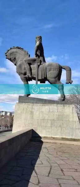 翻译陪同到格鲁吉亚试管助孕的夫妇在第比利斯游玩