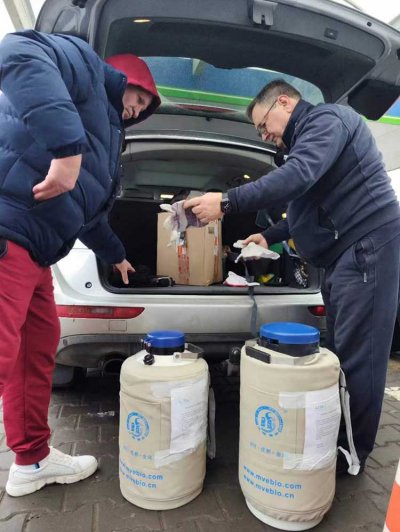 格鲁吉亚客户在lita丽塔医院的胚胎,安排转运回格鲁吉亚医院