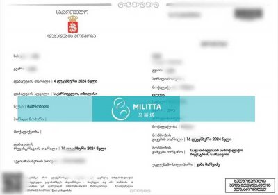两位家庭一周内在格鲁吉亚拿到新生儿出生证