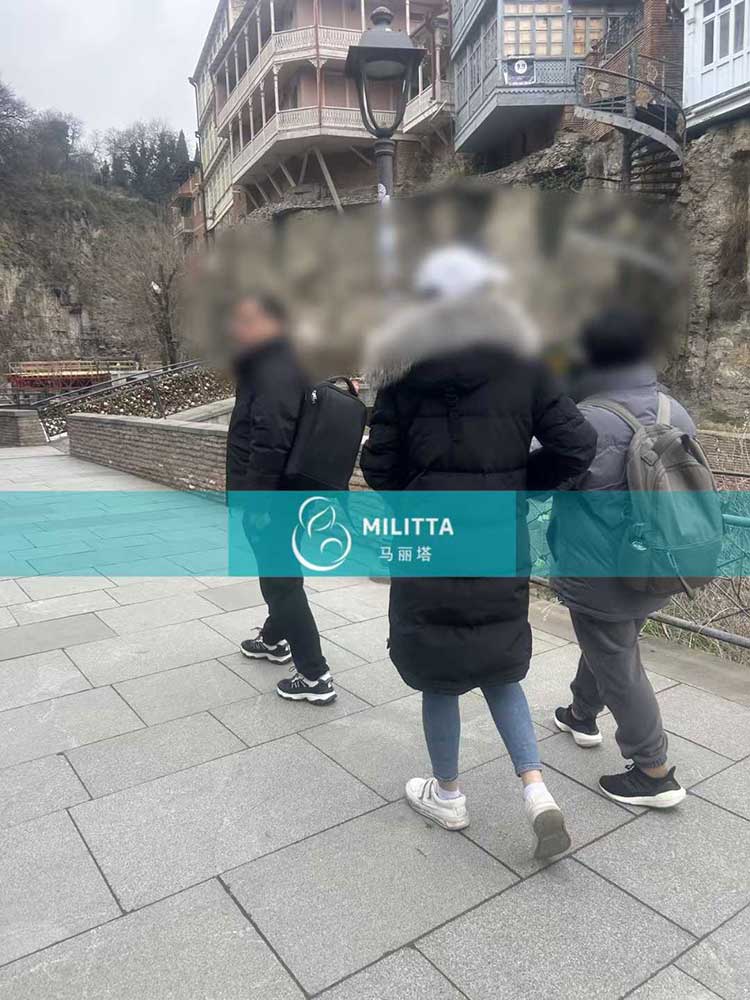 格鲁吉亚试管旅行