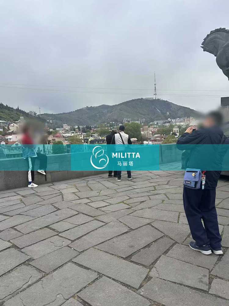 格鲁吉亚试管游览首都