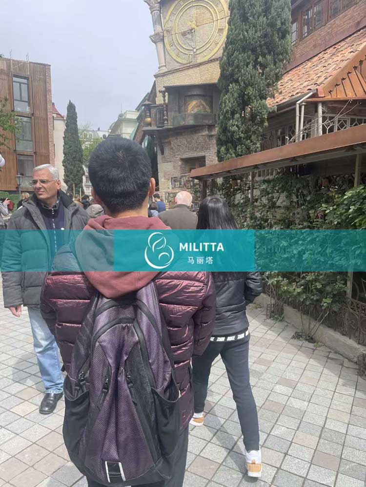 格鲁吉亚试管游览首都