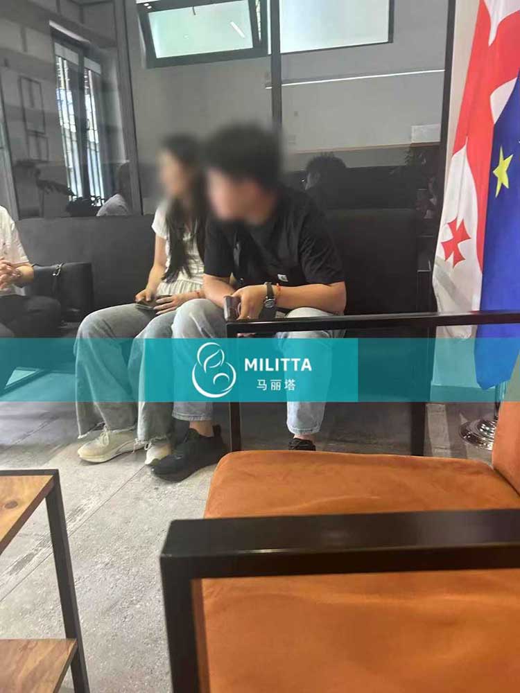格鲁吉亚试管签委托书
