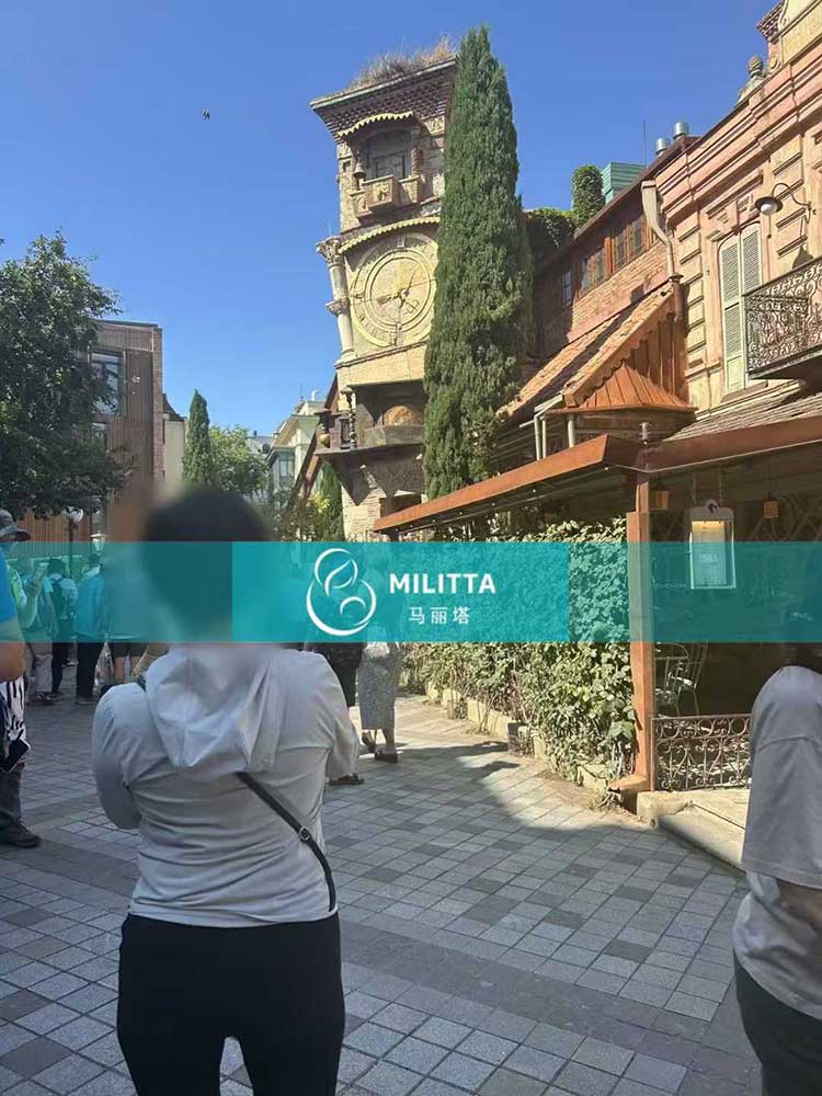 格鲁吉亚试管旅行