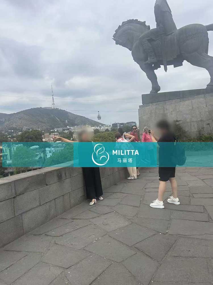 格鲁吉亚试管之旅