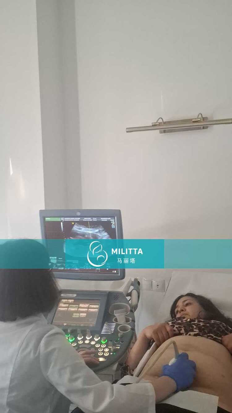 试管妈妈孕12周B超