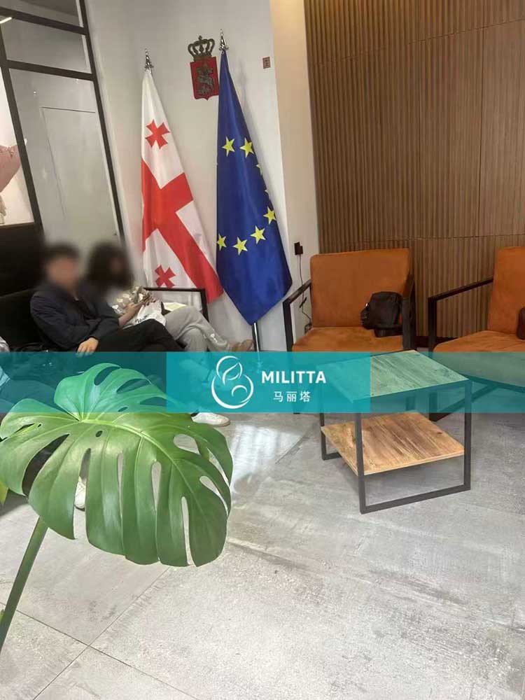 试管委托书认证