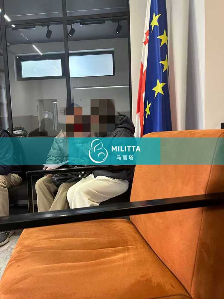 格鲁吉亚试管委托签字