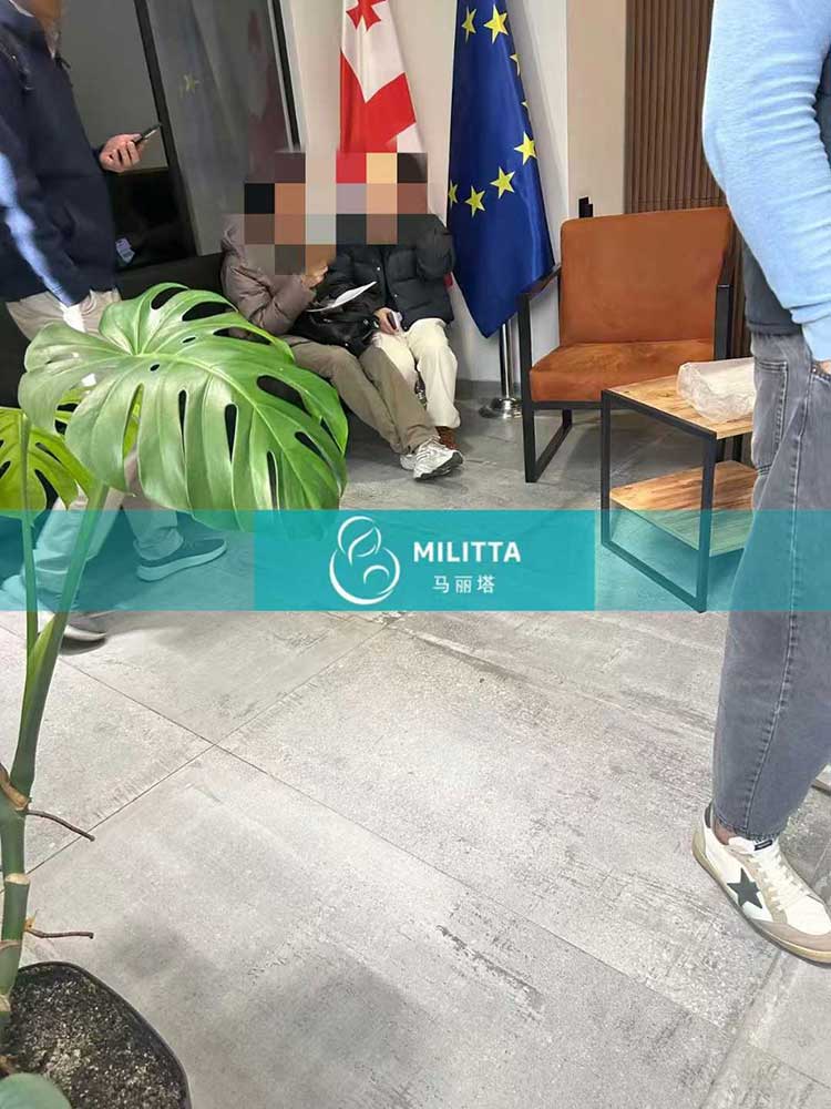 格鲁吉亚试管委托签字