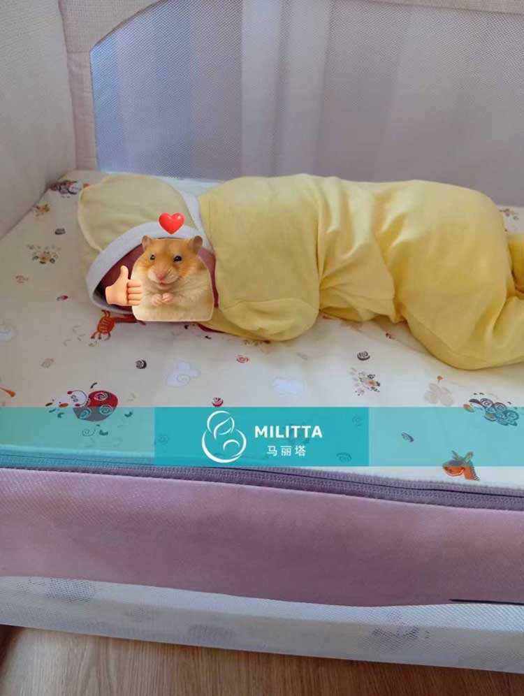 格鲁吉亚试管宝宝出生