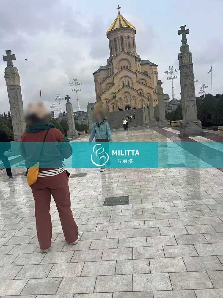 格鲁吉亚试管之旅