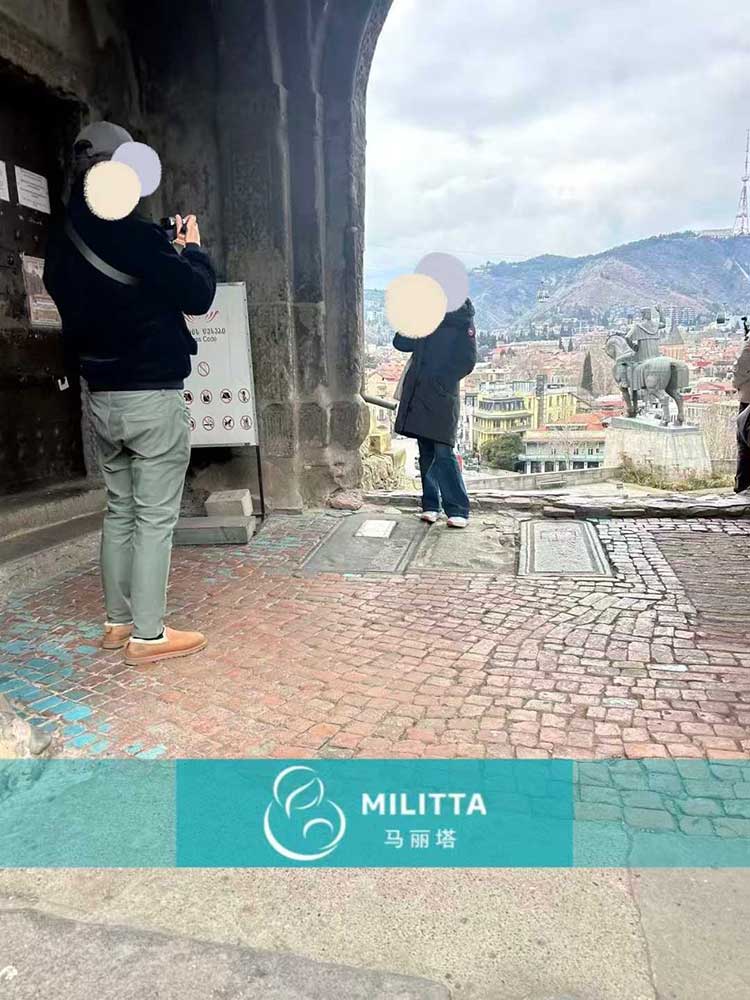 格鲁吉亚试管旅行