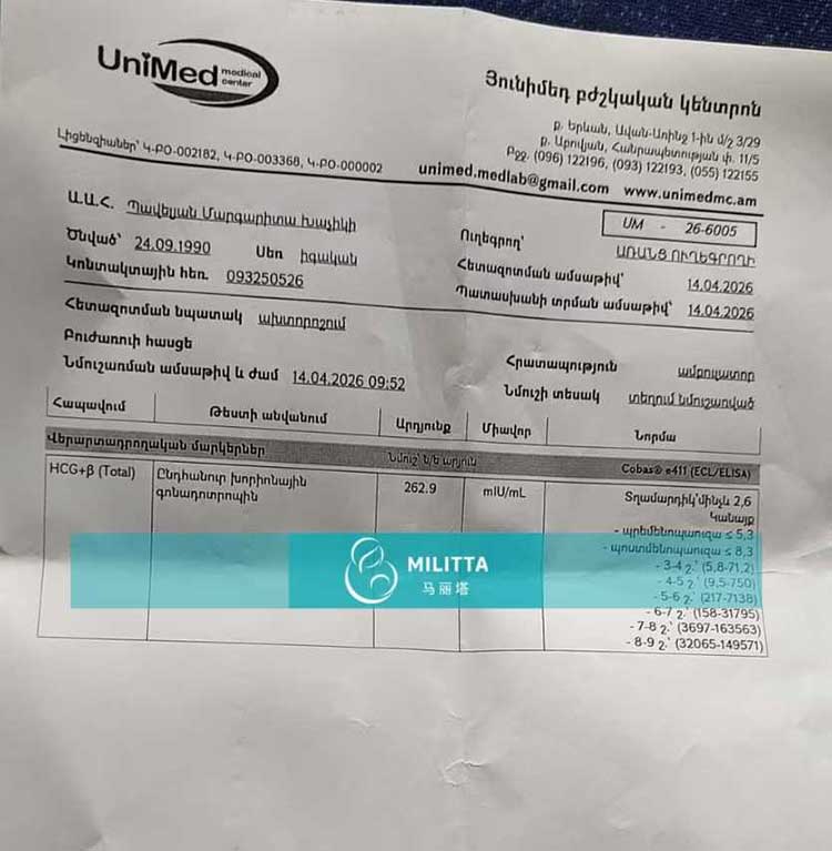 试管验孕成功报告