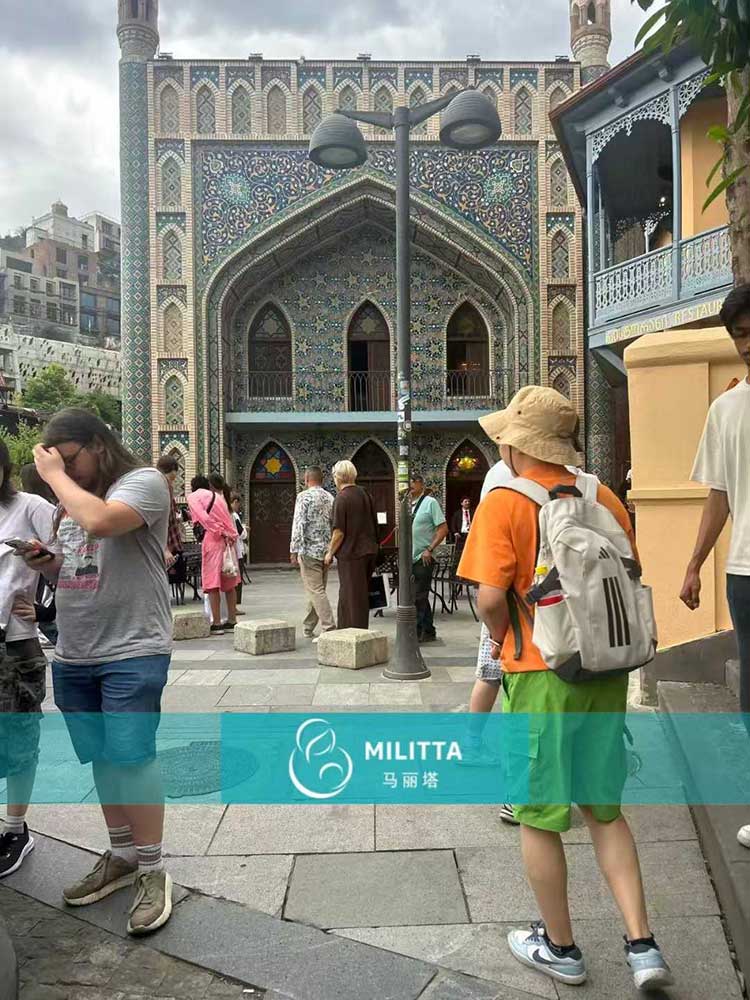 格鲁吉亚试管之旅