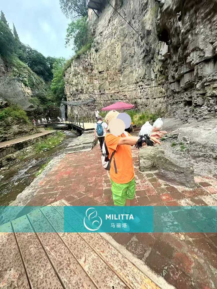 格鲁吉亚试管之旅