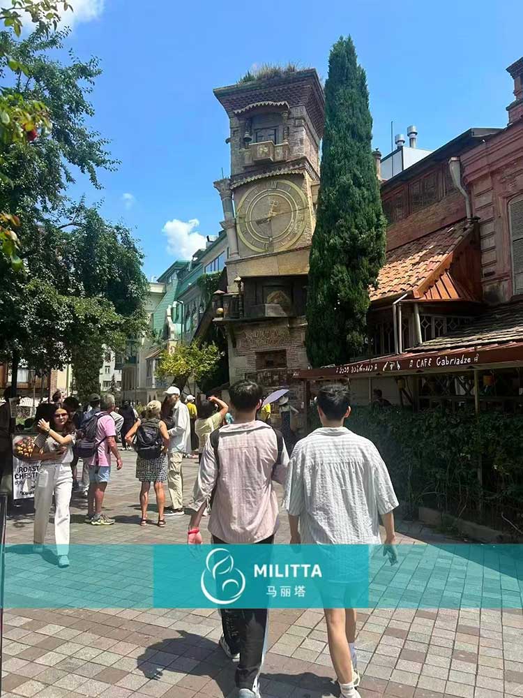 格鲁吉亚试管之旅