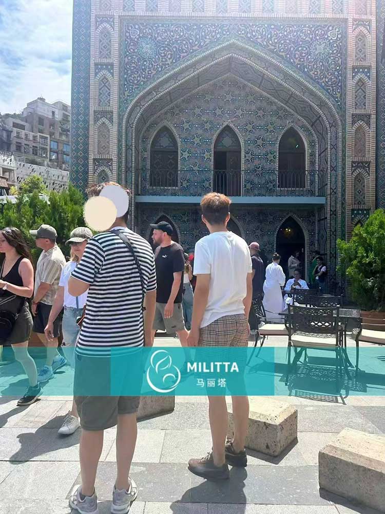 格鲁吉亚试管之旅