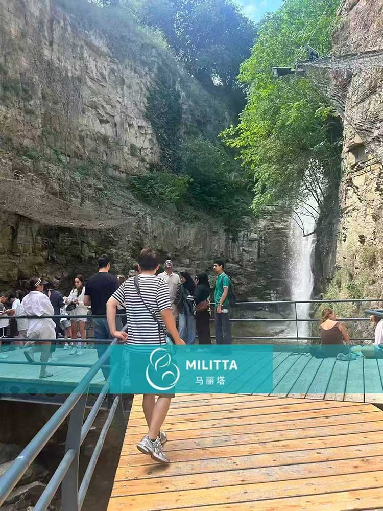 格鲁吉亚试管之旅