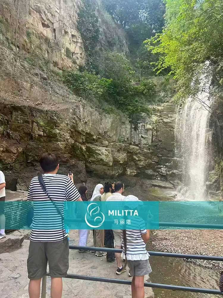 格鲁吉亚试管之旅