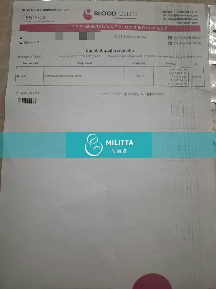 试管验孕成功报告