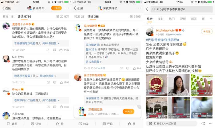 国内代孕孩子的抚养权